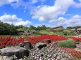 6月のまんのう公園