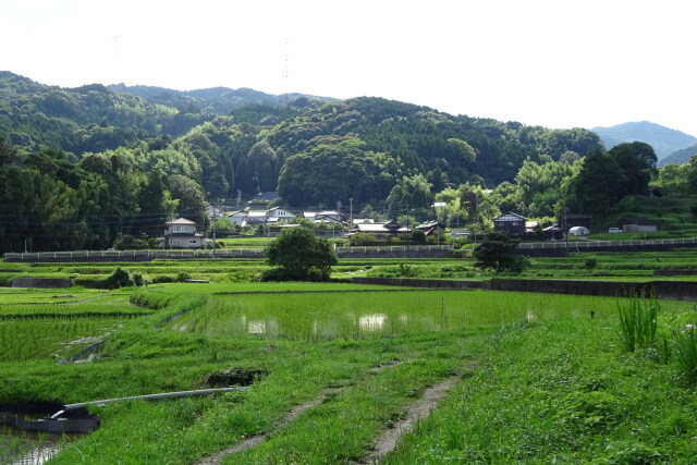 広がる緑と初夏の山村