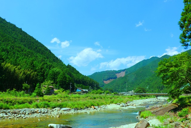 初夏の里山