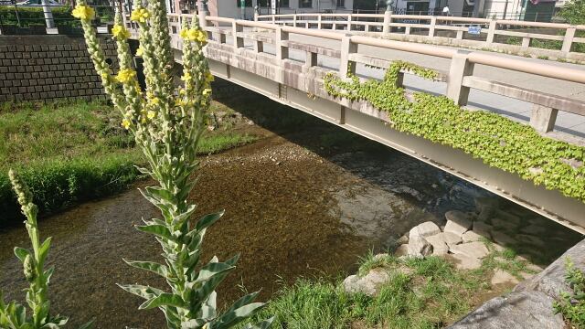 夏の見所・松本にある橋