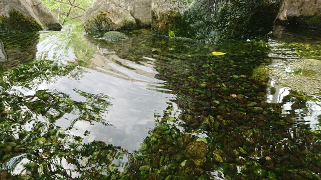 松本の魅せる水