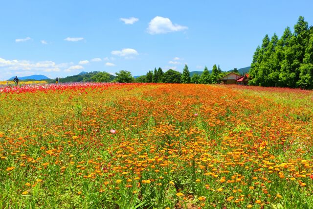 メナード青山ハーブガーデン