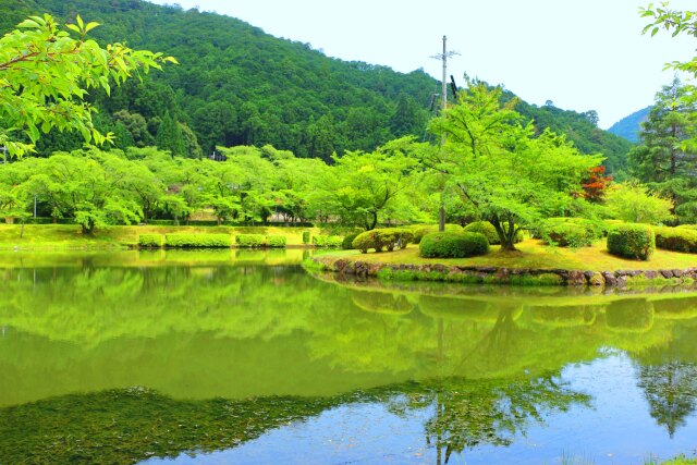 初夏の下北山村