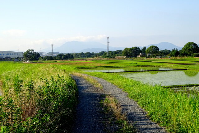 梅雨の中休み