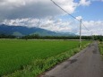 信州梅雨の農園