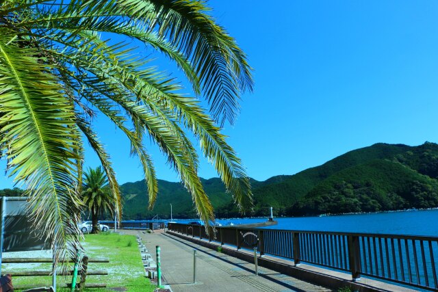 初夏の海