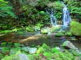 初夏の清流