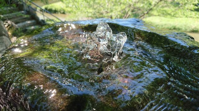 夏の名物・水音