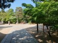 夏色の四柱神社