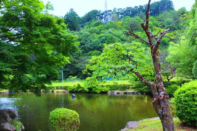 初夏の下北山村