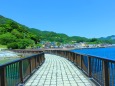 初夏の海