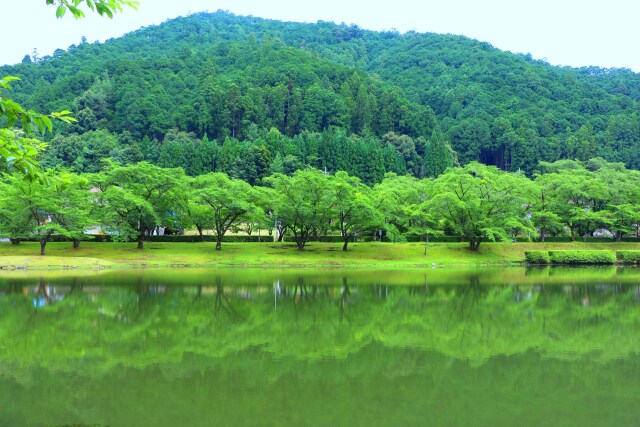 初夏の下北山村