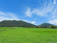 高原の夏6 蒜山牧場