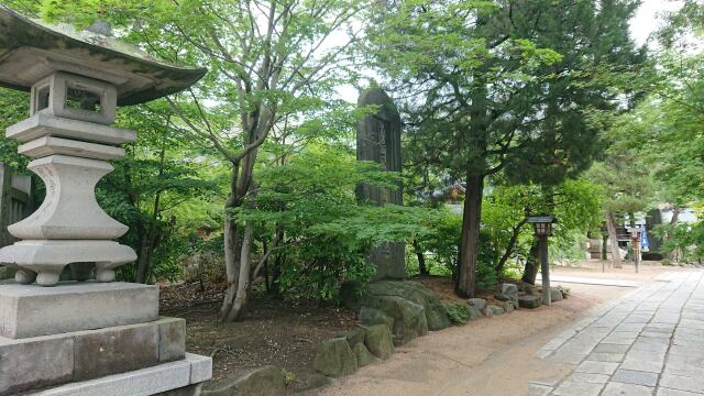 四柱神社のみどり彩り