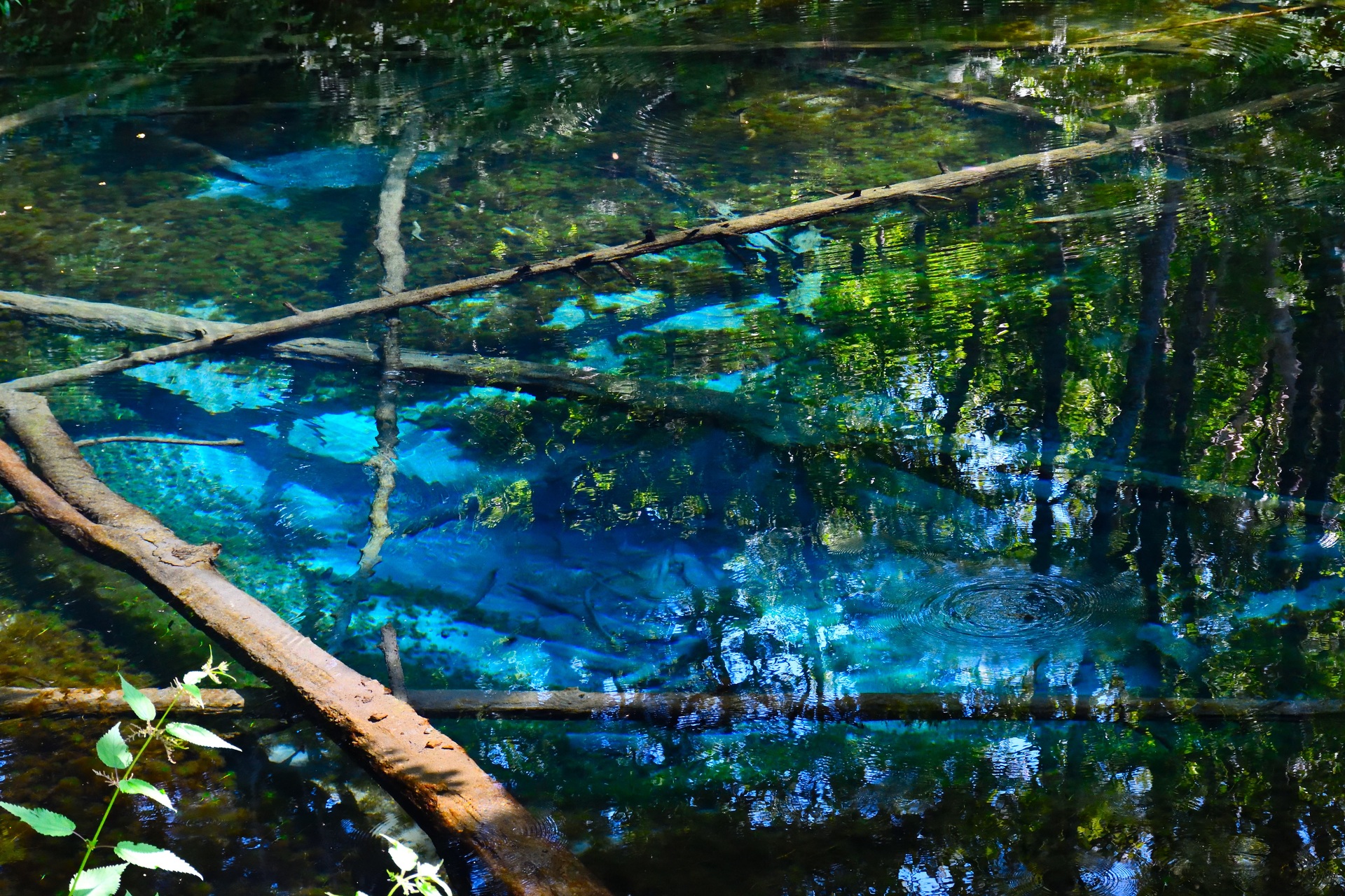 日本の風景 神の子池 壁紙19x1280 壁紙館