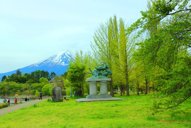 新緑と富士山