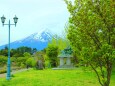 新緑の富士山