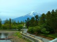 新緑と富士山