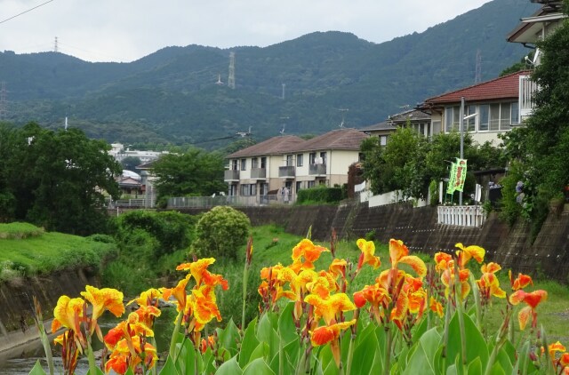 梅雨の季節