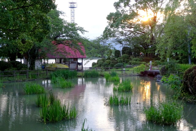 夕暮れの公園