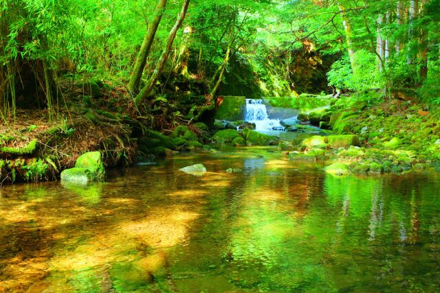 夏の清流