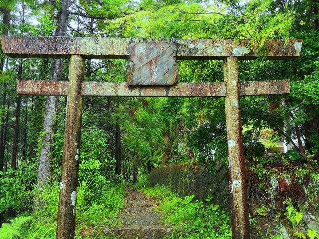 雨の熊野古道