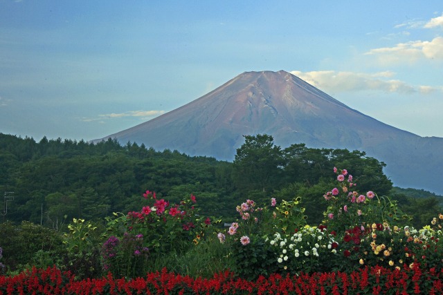 夏の富士山