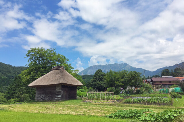 茅葺き小屋と大山 夏