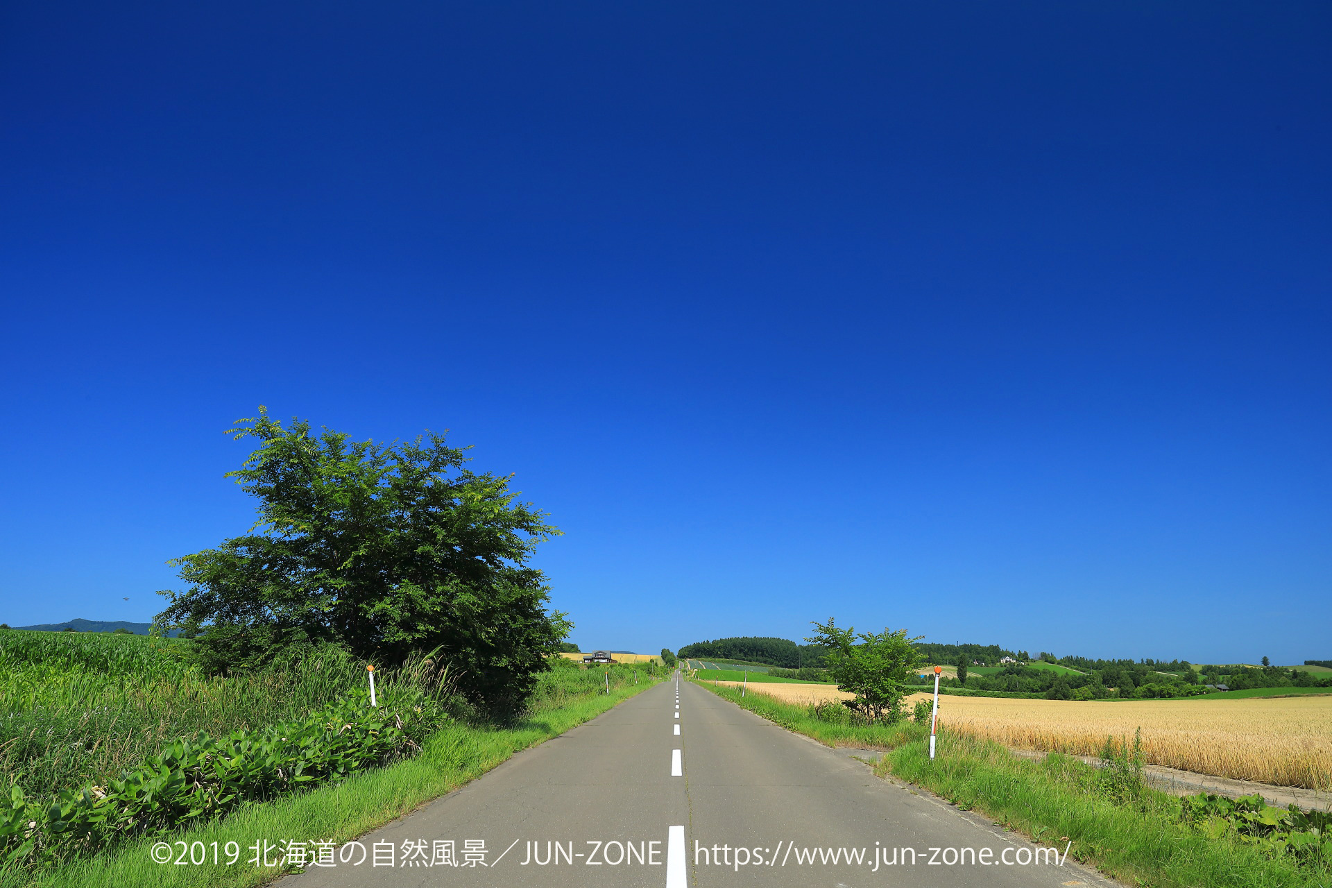 日本の風景 夏の美瑛 上富良野 丘への道 壁紙19x1280 壁紙館
