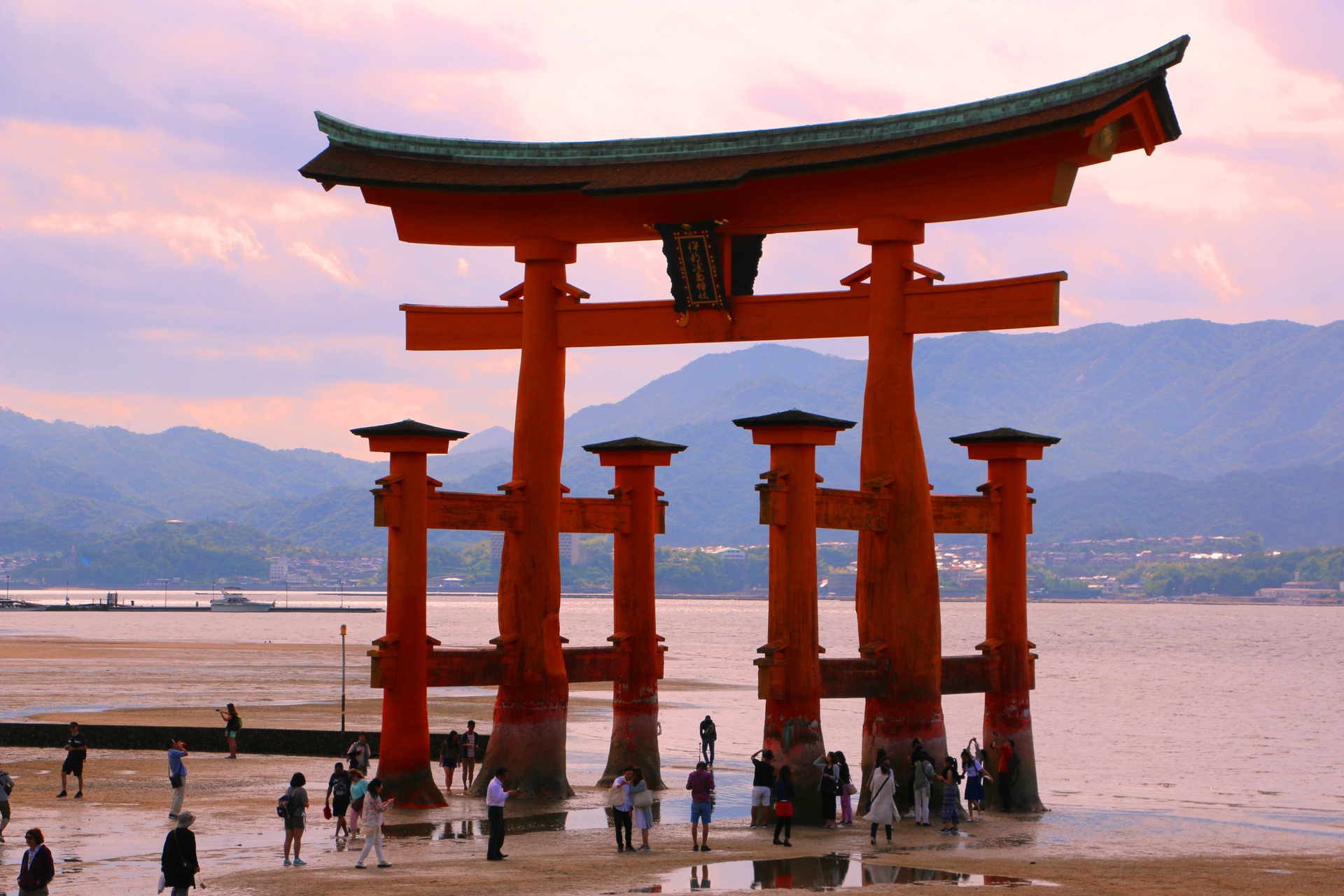 夜景 花火 イルミ 厳島神社 壁紙19x1280 壁紙館