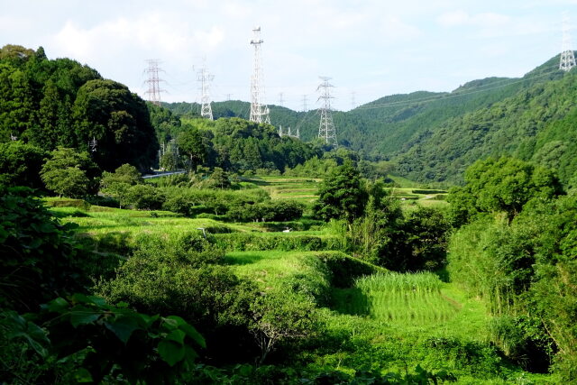 山間部の棚田と送電鉄塔