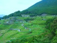 丸山千枚田