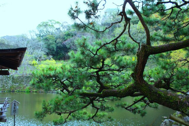 和歌山城