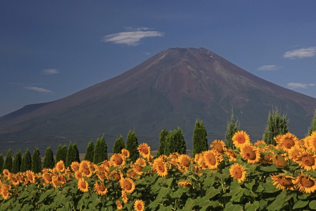 夏の富士山