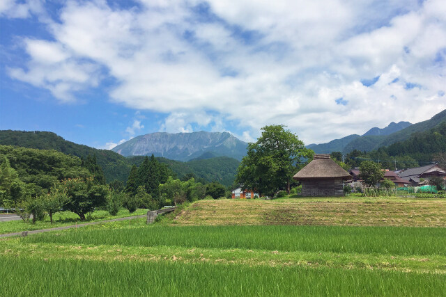 茅葺き小屋と大山 夏2