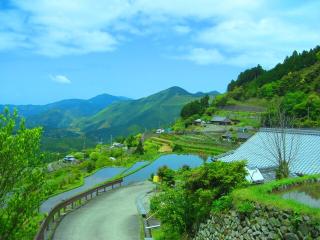 丸山千枚田