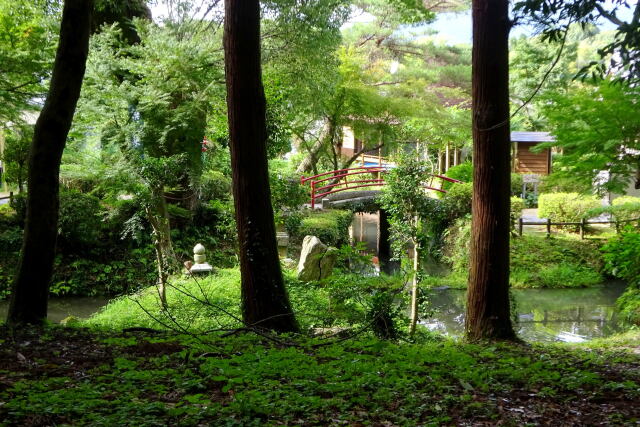 神社の境内