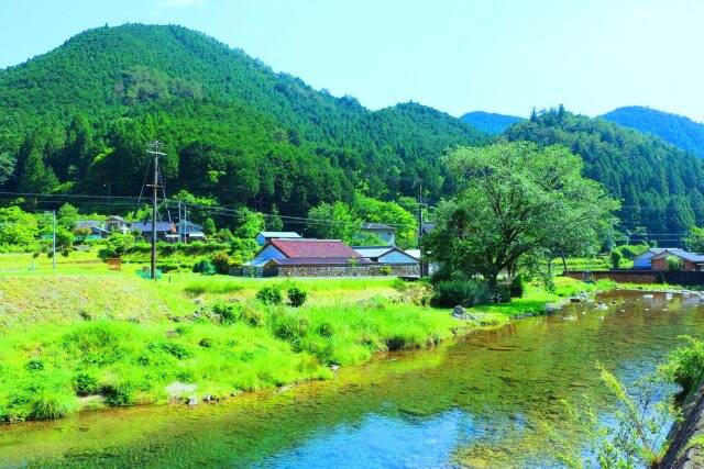 夏の里山