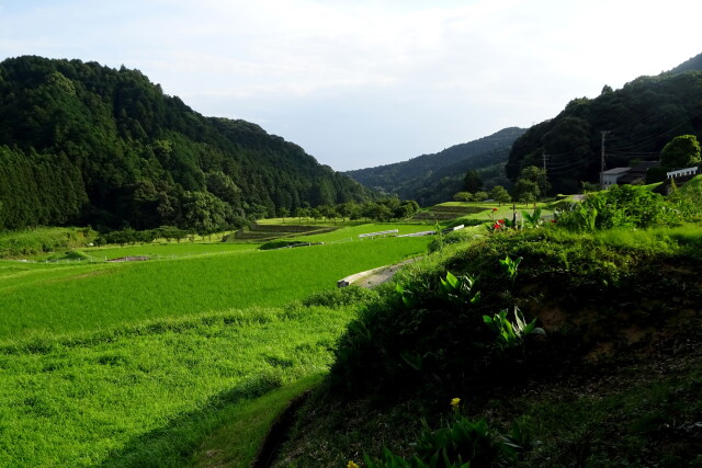 山の向こうの静かな世界