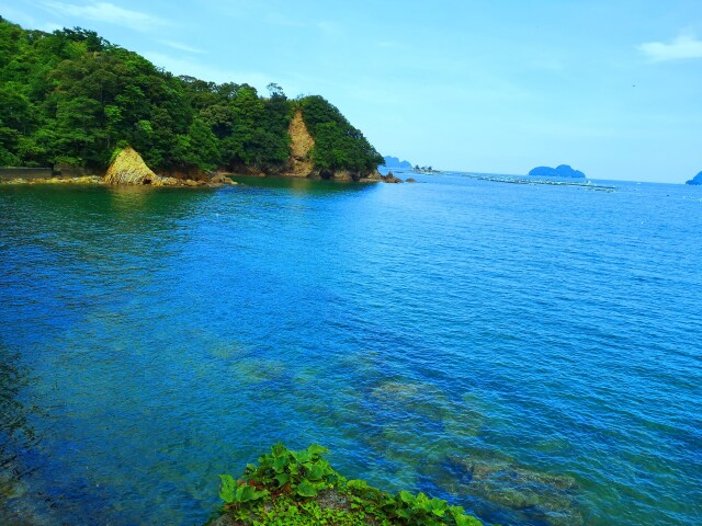 夏の海