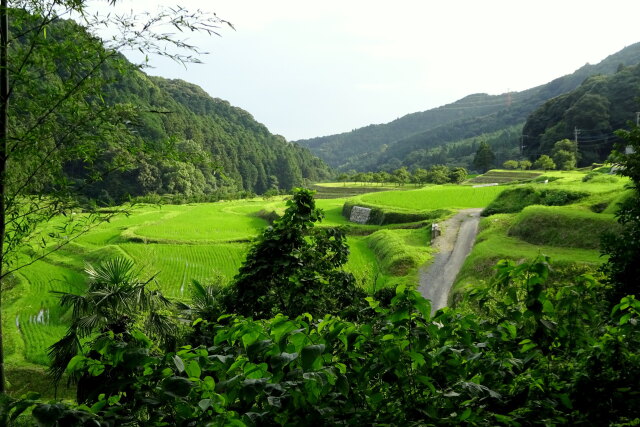 山の向こうの静かな世界