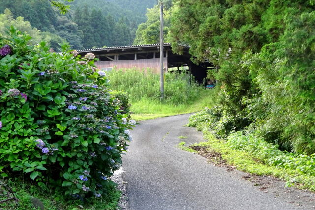 冷や水峠へ続く山越えの県道