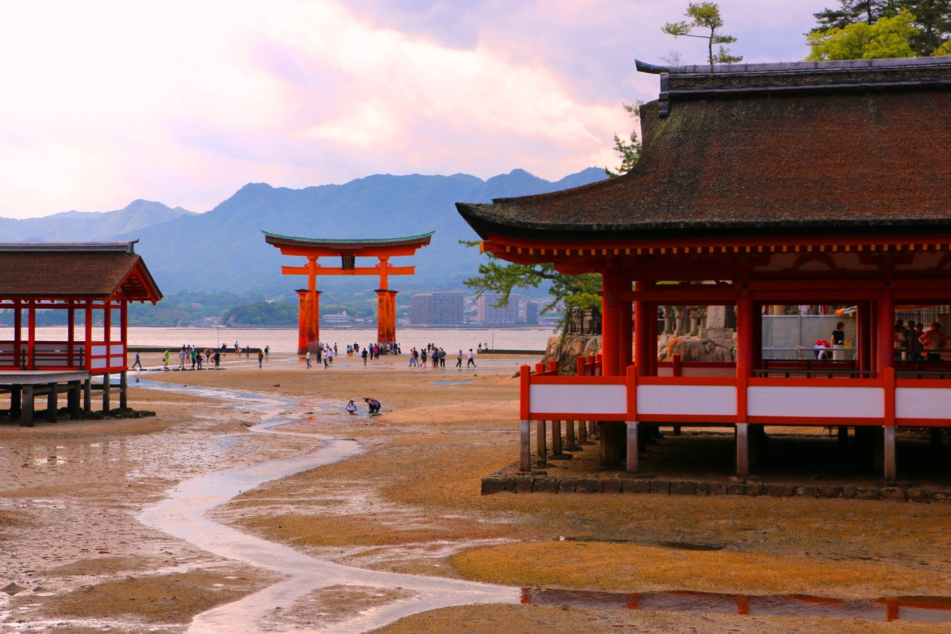 夜景 花火 イルミ 厳島神社 壁紙19x1280 壁紙館