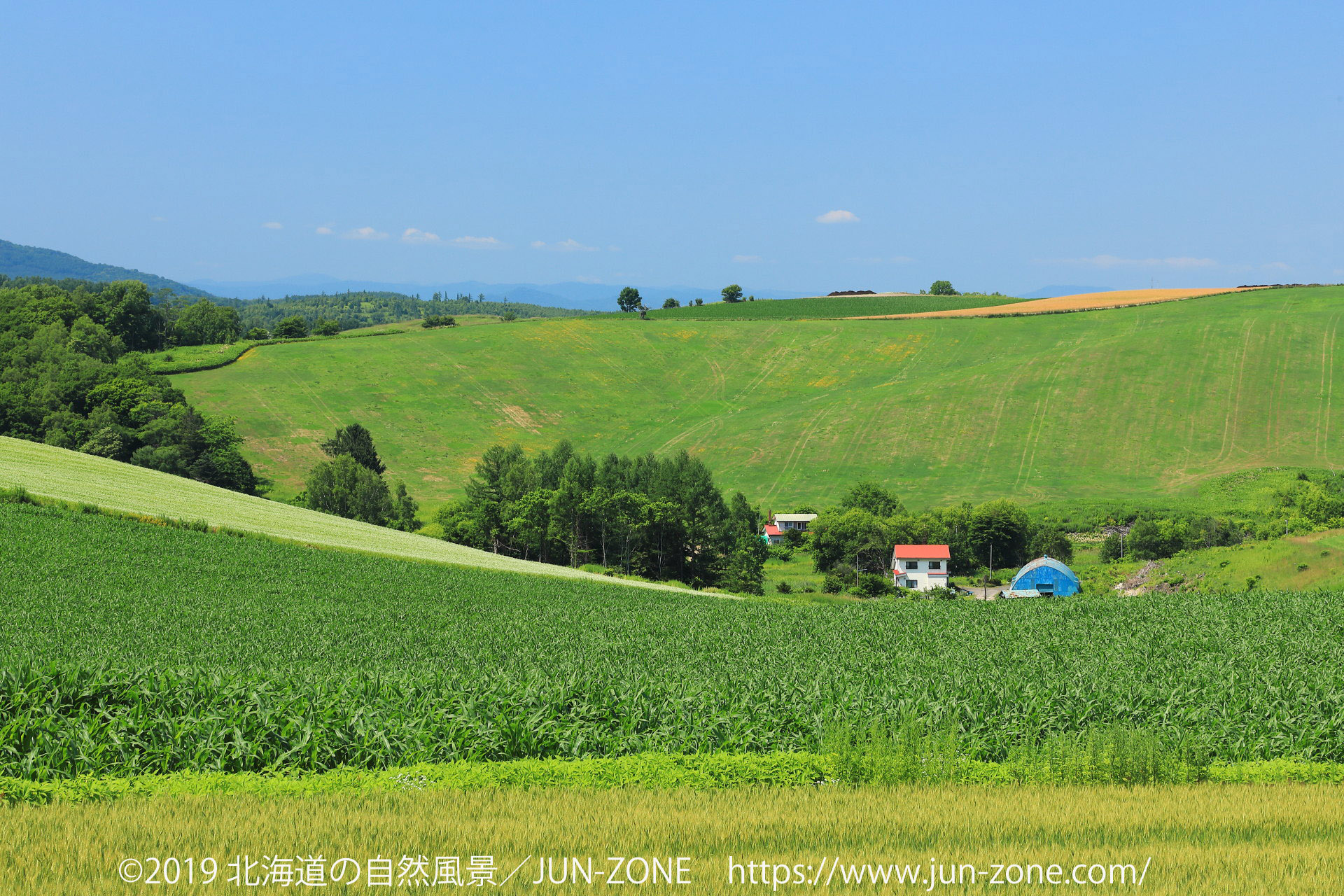 日本の風景 夏の美瑛の丘風景 11 壁紙19x1280 壁紙館