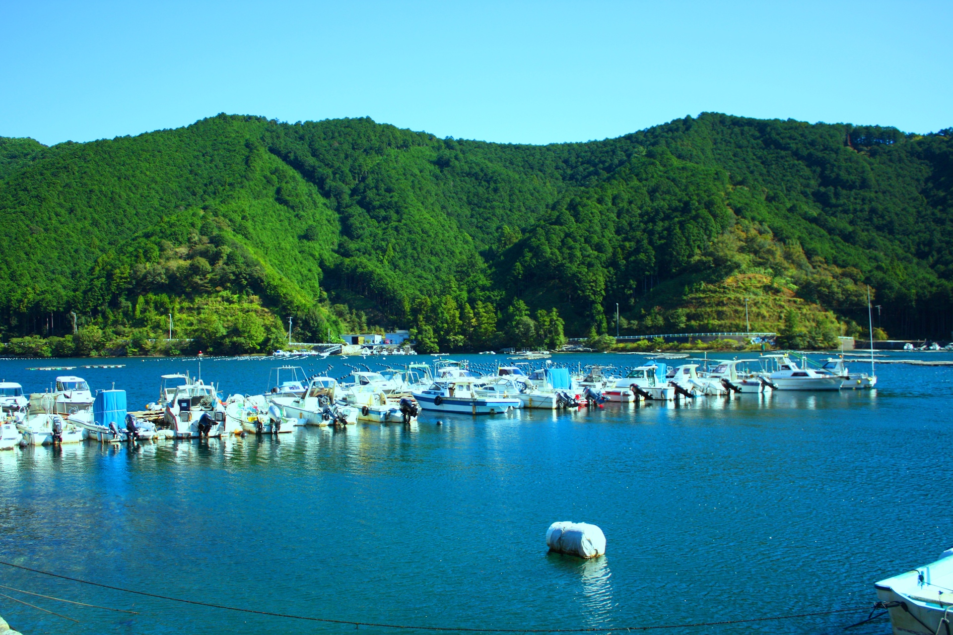 日本の風景 夏の海 壁紙1920x1280 壁紙館