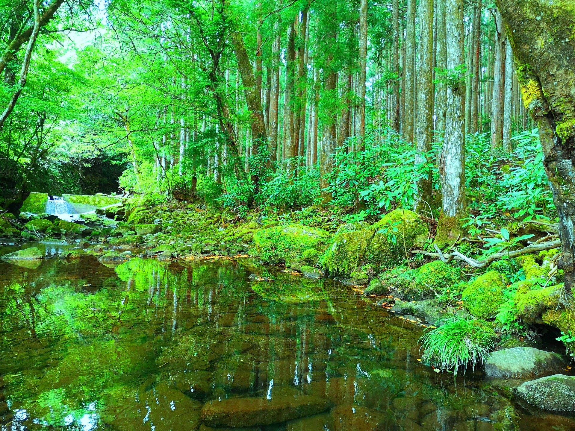 日本の風景 熊野古道 壁紙19x1440 壁紙館