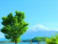 河口湖から富士山