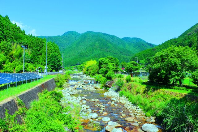 夏の里山