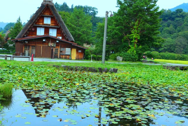 白川郷