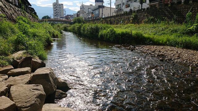 女鳥羽川の魅せ